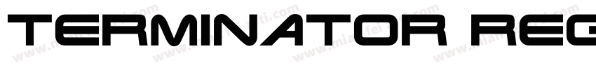 Terminator Regular字体转换